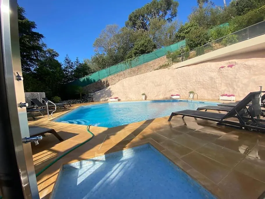 Apartment The Sun Paradise Dream Cannes