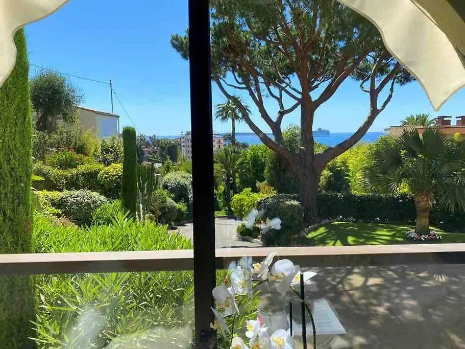 The Sun Paradise Dream Cannes France